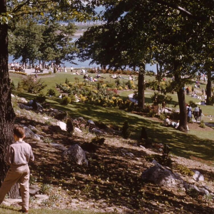 The hill sloping down to Grenadier Pond in High Park.