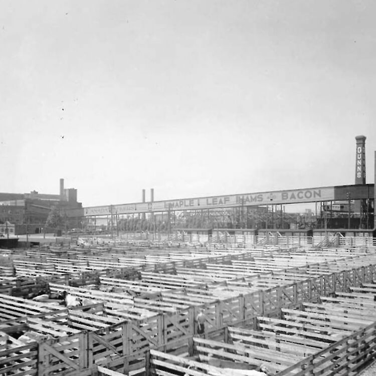 Stock Yards in Toronto, near Jane St. and St. Clair Ave. W